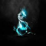 Son Nguyen Profile Picture