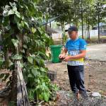 DOLA1985ICD Profile Picture