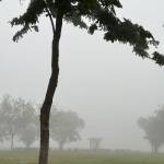 Khoi Minh Profile Picture