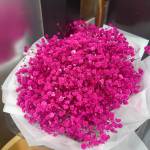 vovansyqwe Profile Picture