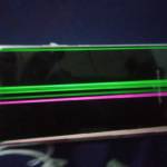 Dương Lý Profile Picture