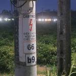 Anh cột Điện Profile Picture