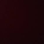 Thái Thái Profile Picture