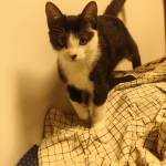 jam ukan Profile Picture