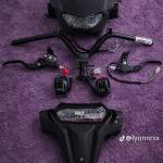 sơn trần Profile Picture