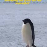 Vobinh Profile Picture