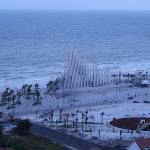 Nam Trần Đức Profile Picture