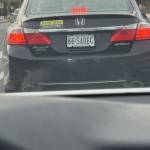 Tim N Profile Picture