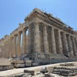 Cat Dog Profile Picture