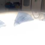 Anh 18cm Profile Picture