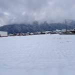 Thang Vo Profile Picture