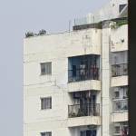 Lâm Ph Profile Picture