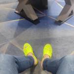 Meo Duy Profile Picture