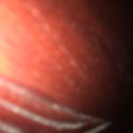 Liên thanh Thanh Profile Picture