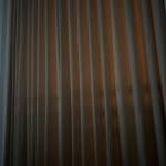 Bin Go Profile Picture