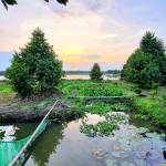 Huân Tran Profile Picture