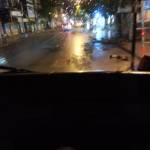 thanh thanh Profile Picture