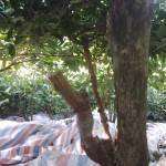 Hung1918 Profile Picture