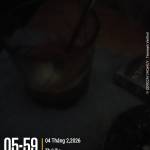 Viên Cá Profile Picture