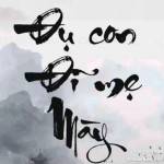 Thích Đụ Profile Picture