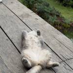 gacon5985 Profile Picture