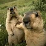 Boycudon324 Profile Picture