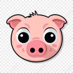 Tuntun Tu Profile Picture