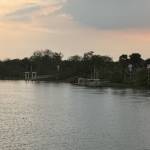 Son Nguyễn Profile Picture