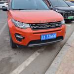 刀乐 兔 Profile Picture