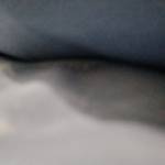 anh Le Profile Picture