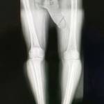 Kubin512 Profile Picture