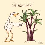 20 CENTIMETER Profile Picture