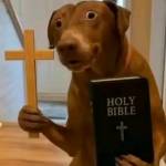 Thanh hiệp Nguyễn Profile Picture