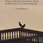 Vũ Vân Profile Picture