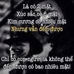 A cu Profile Picture