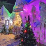 Hoang Vu Profile Picture