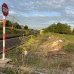 Duong Tran Profile Picture