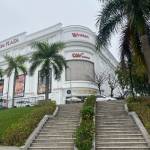 Bạch Thái Profile Picture