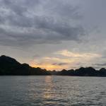 Ann Nguyễn Profile Picture