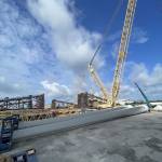 Hoang Trân Profile Picture