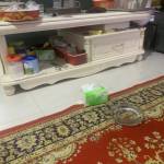 tin lam Profile Picture