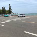 Tri Nguyen Profile Picture