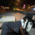 Thành Nguyễn Profile Picture