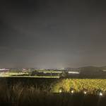 Cu To Profile Picture