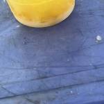 Đông Tây Profile Picture