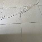 Khoi Minh Profile Picture