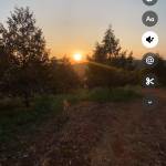 sang dao Profile Picture