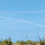 Bachhac Profile Picture