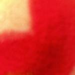 Kiếm gái đi lỗ đít Profile Picture