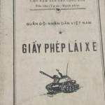 Tuan Nguyễn Profile Picture